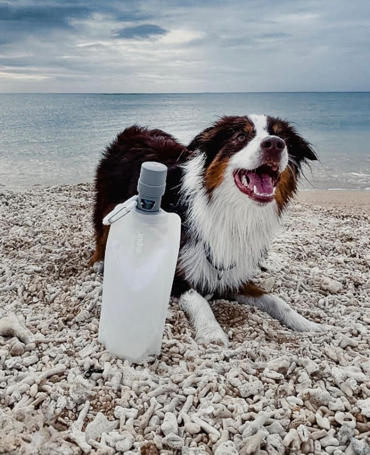 Vapur EZ Lick Dog Bottle 0.7L - Whiteout