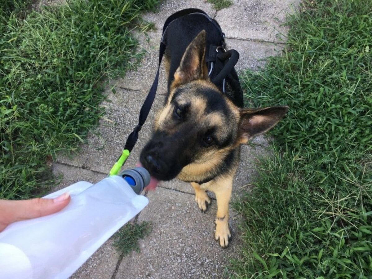 Vapur EZ Lick Dog Bottle 0.7L - Whiteout